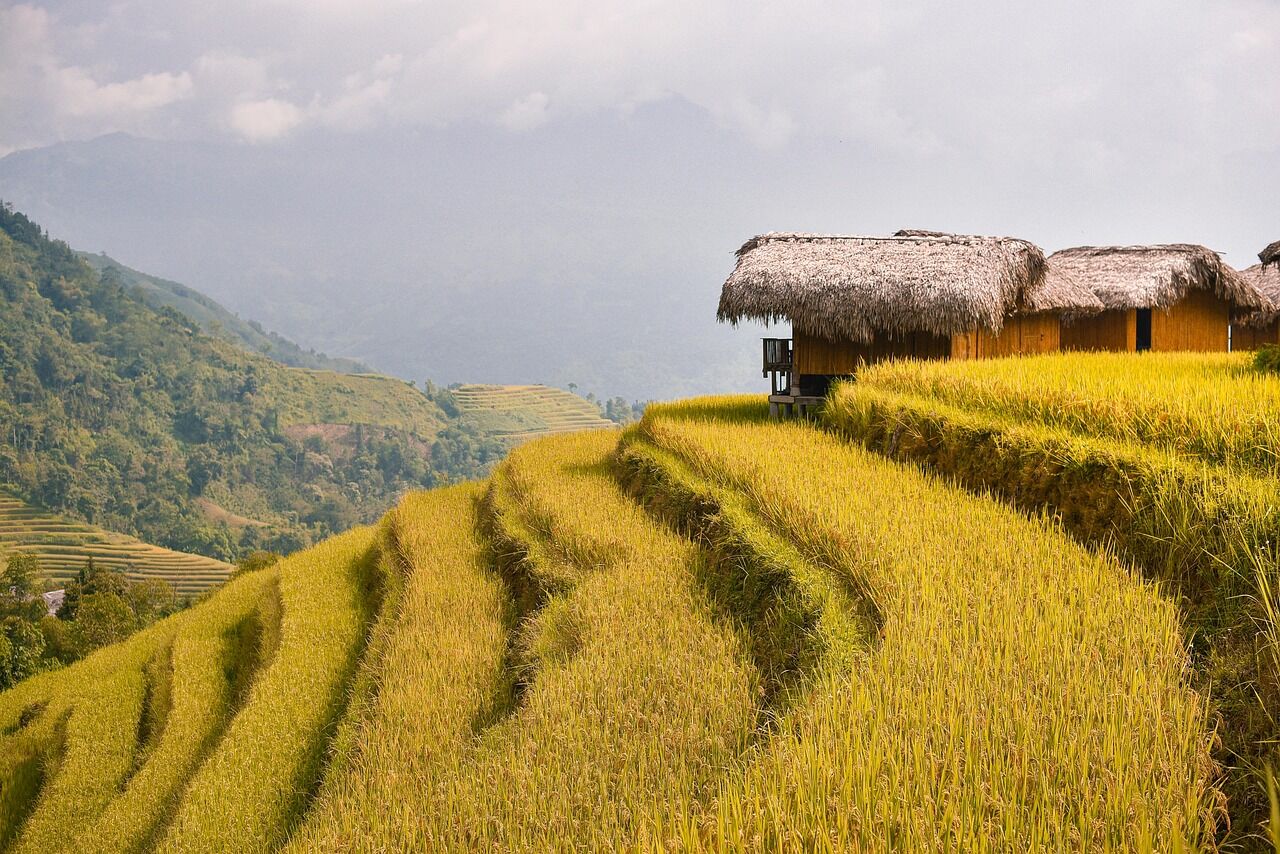 The view that makes solo travel worth it